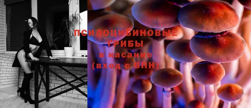 Псилоцибиновые грибы MAGIC MUSHROOMS  Калуга 